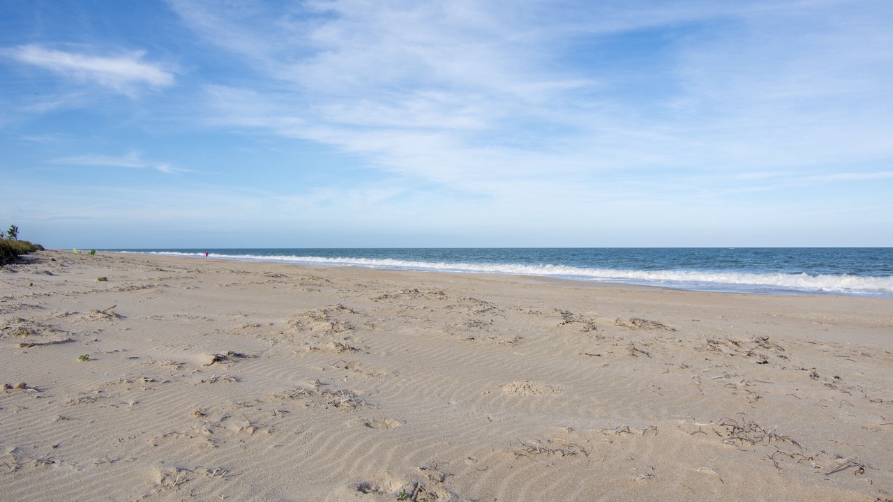 Photo of Others in South Beach