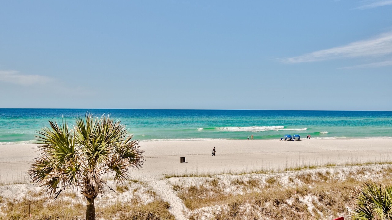 Photo of Others in Panama City Beach