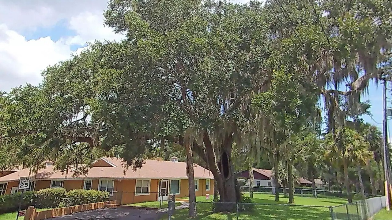 Photo of Outdoor in Leesburg