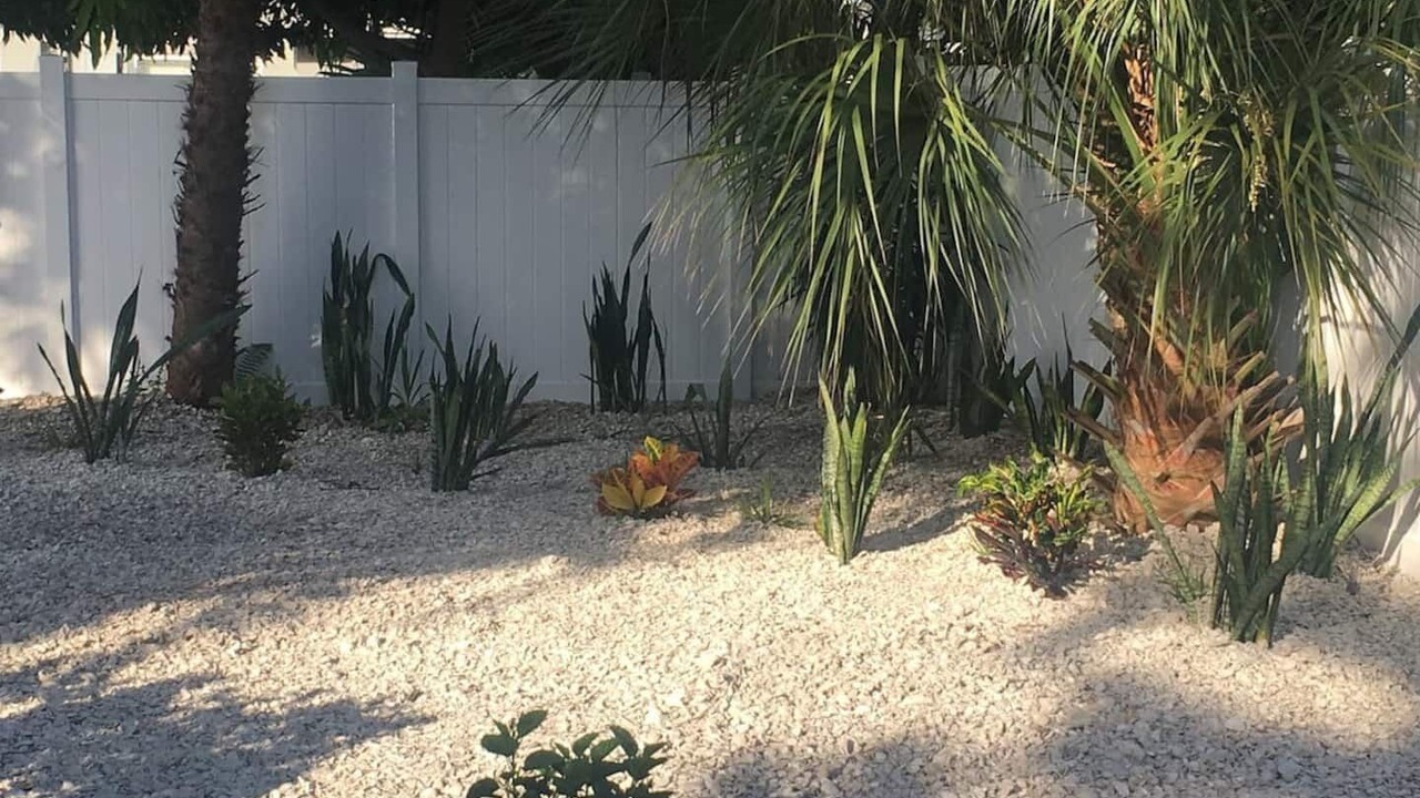 Photo of Outdoor in Redington Beach