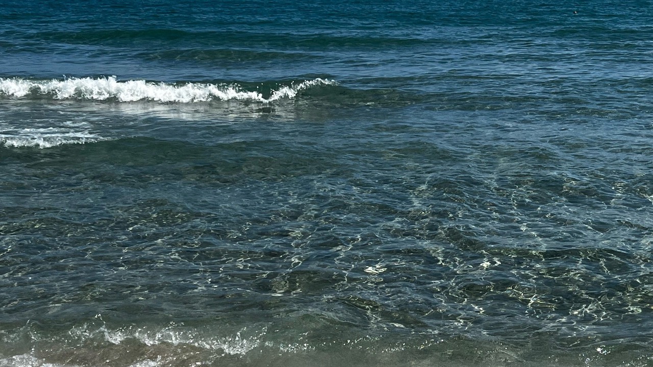 Photo of Others in Deerfield Beach