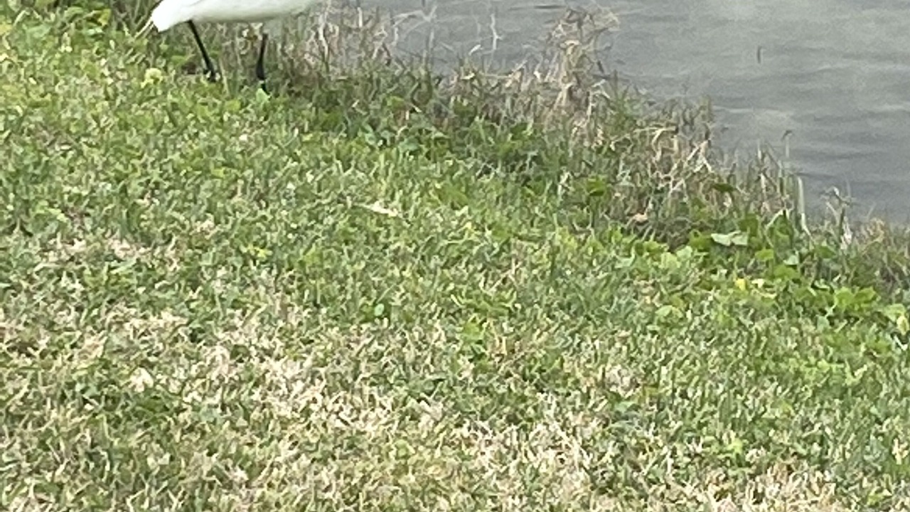 Photo of Others in Panama City Beach