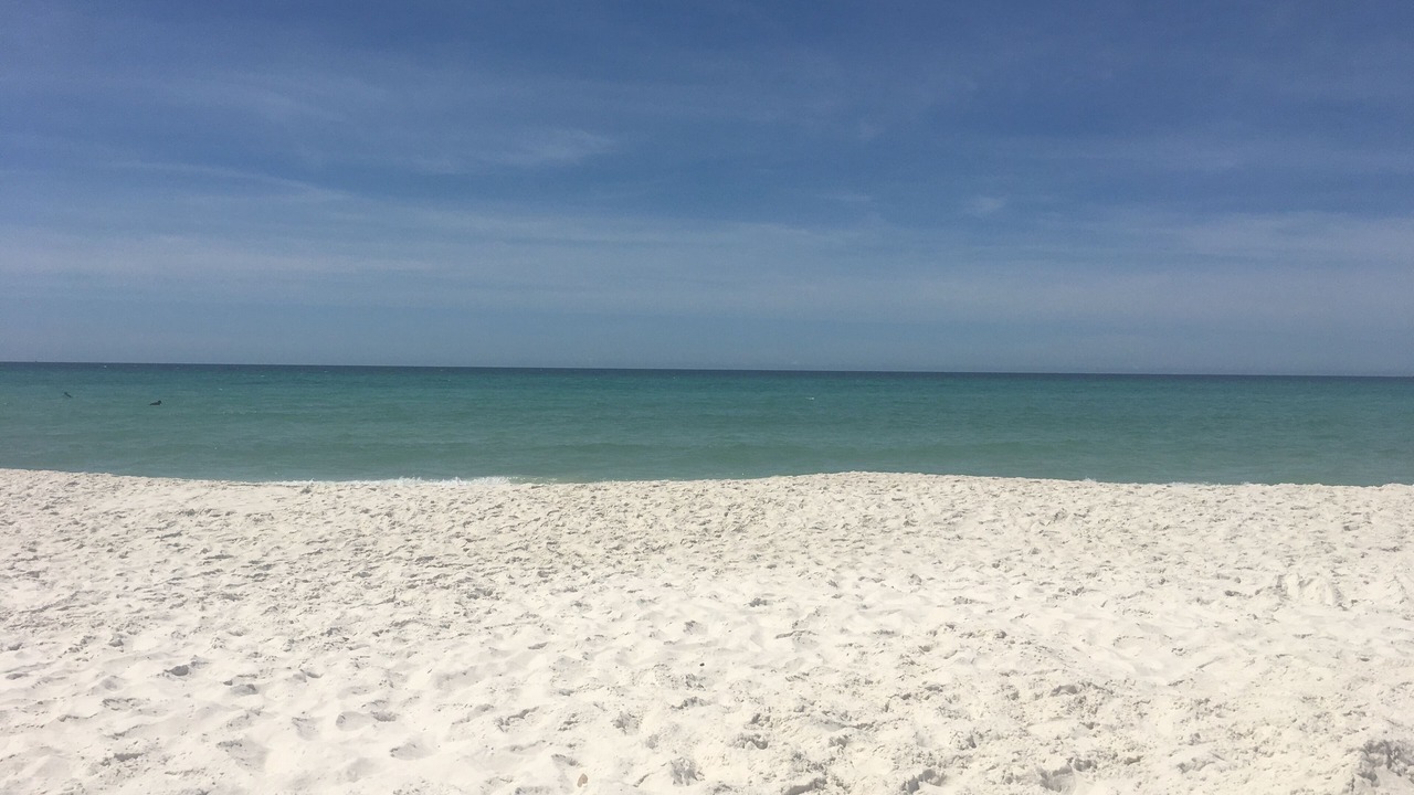 Photo of Others in Panama City Beach