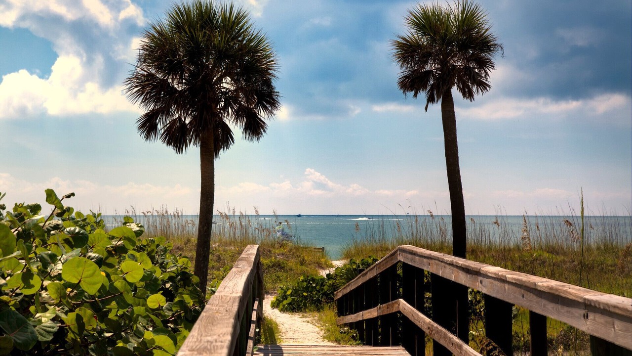 Photo of Others in Indian Shores