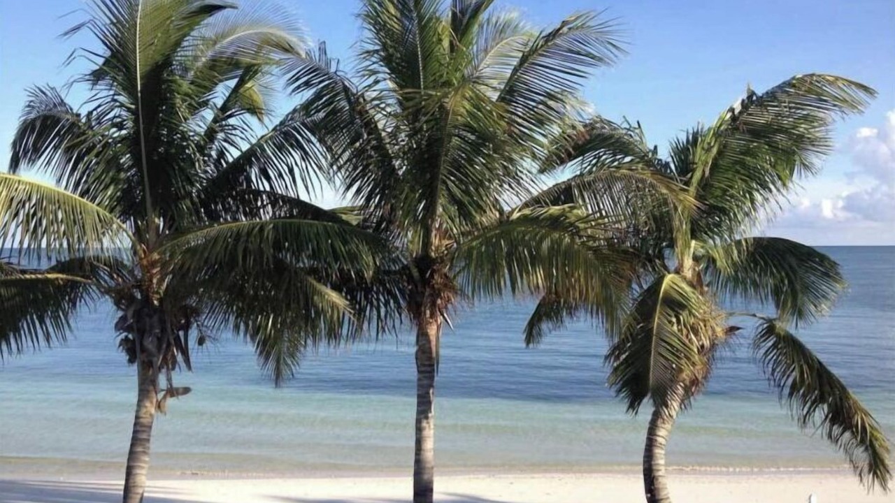 Photo of Others in Key Colony Beach