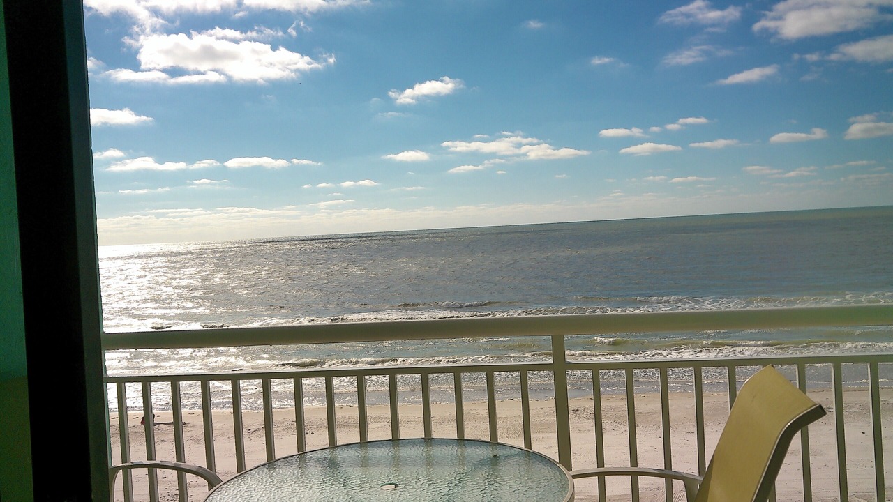 Photo of Others in Indian Shores