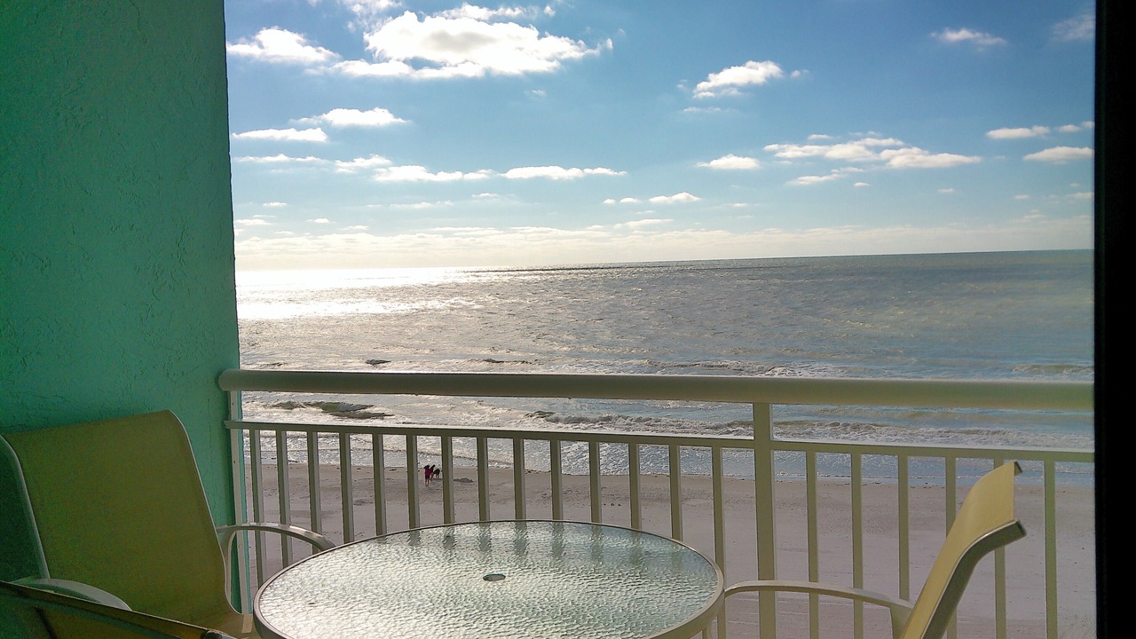 Photo of Others in Indian Shores