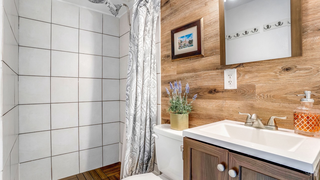 Photo of Bathroom in Old Seminole Heights