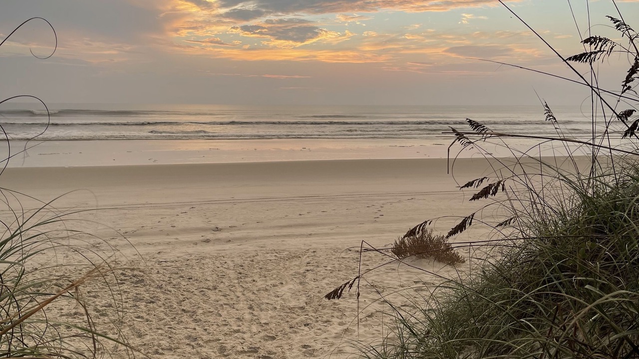 Photo of Others in Crescent Beach