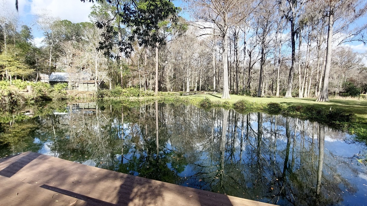 Photo of Outdoor in Dunnellon