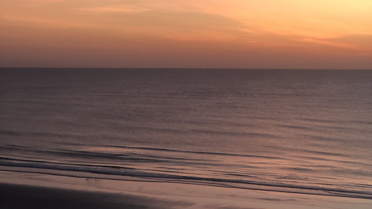 Photo of Others in New Smyrna Beach