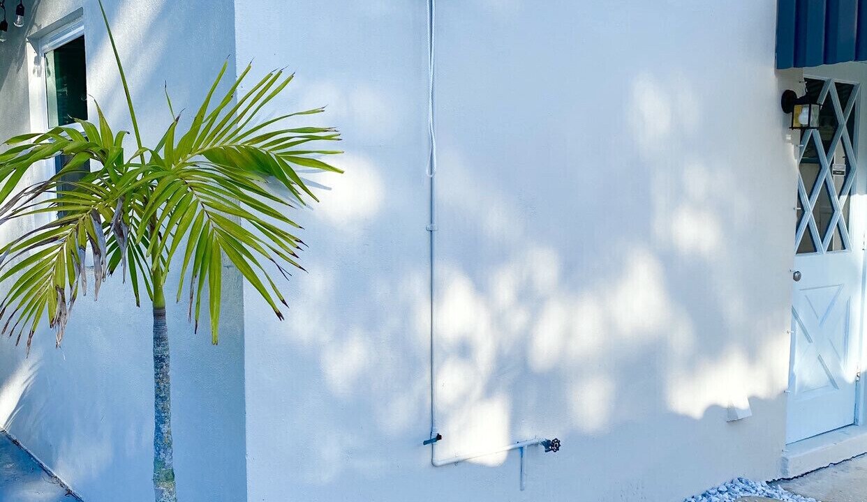Photo of Outdoor in Belleair Beach