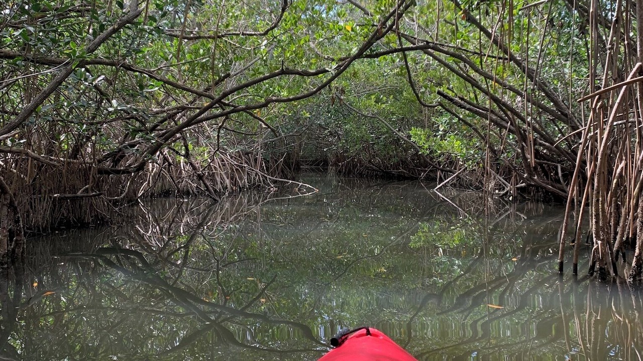 Photo of Others in Cocoa Beach
