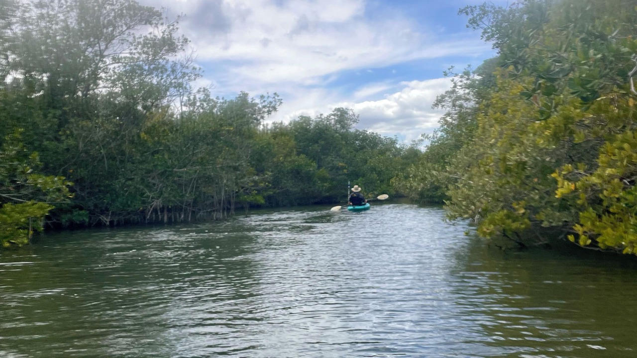 Photo of Outdoor in Cocoa Beach
