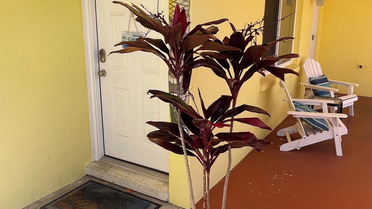 Photo of Outdoor in Cocoa Beach