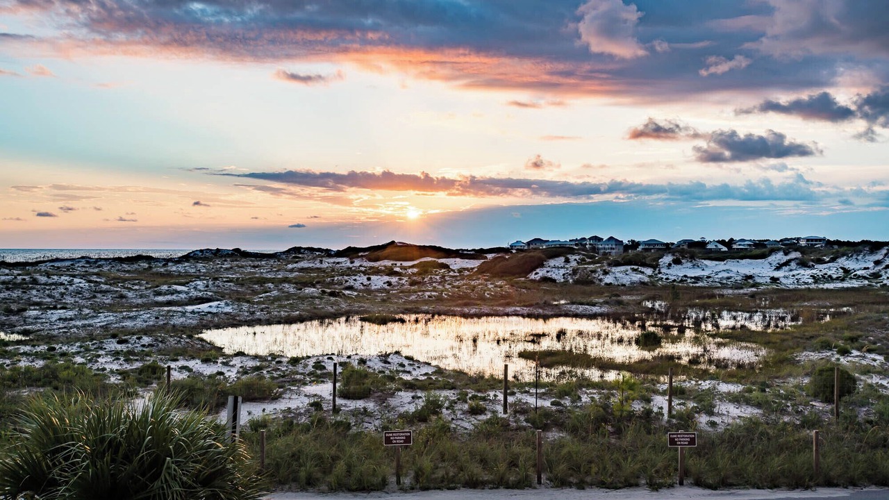Photo of Others in Grayton Beach
