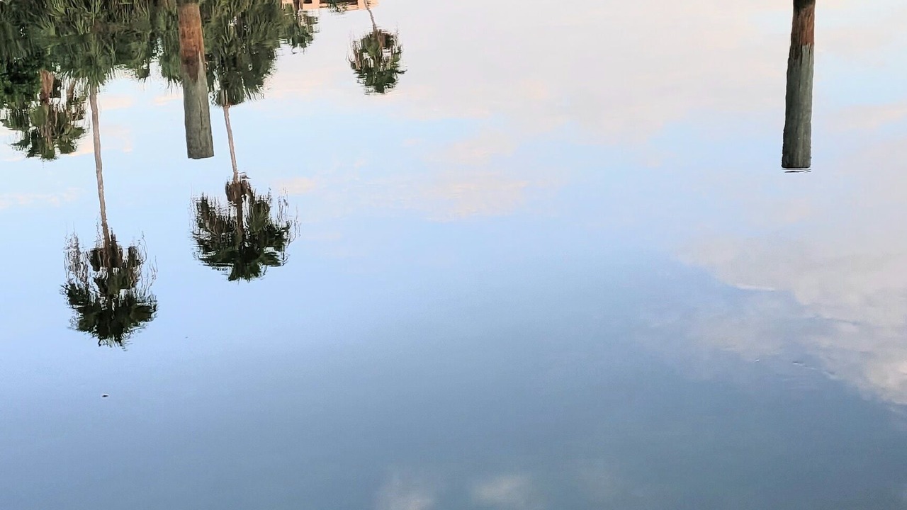 Photo of Outdoor in Treasure Island