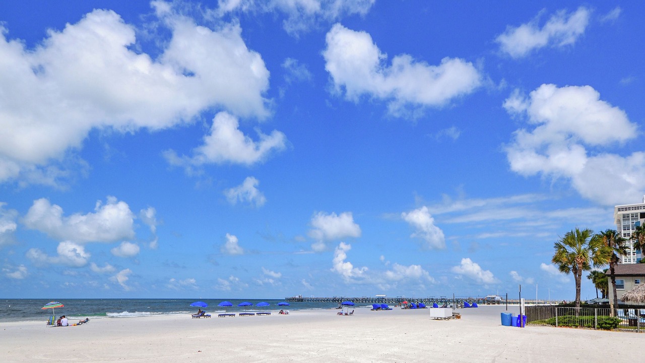 Photo of Others in North Redington Beach