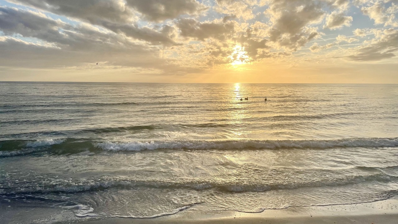 Photo of Others in Redington Shores
