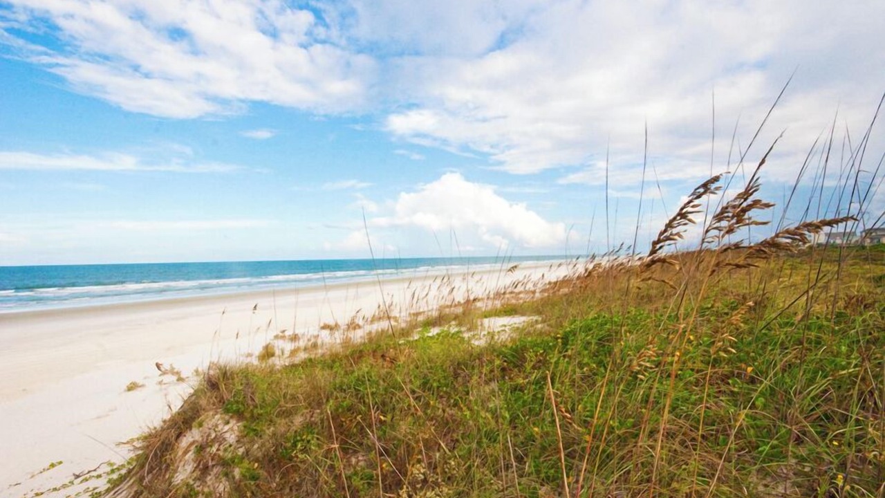 Photo of Others in Butler Beach
