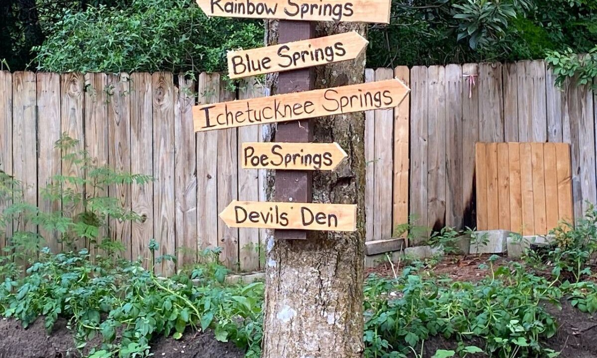 Photo of Outdoor in Gainesville