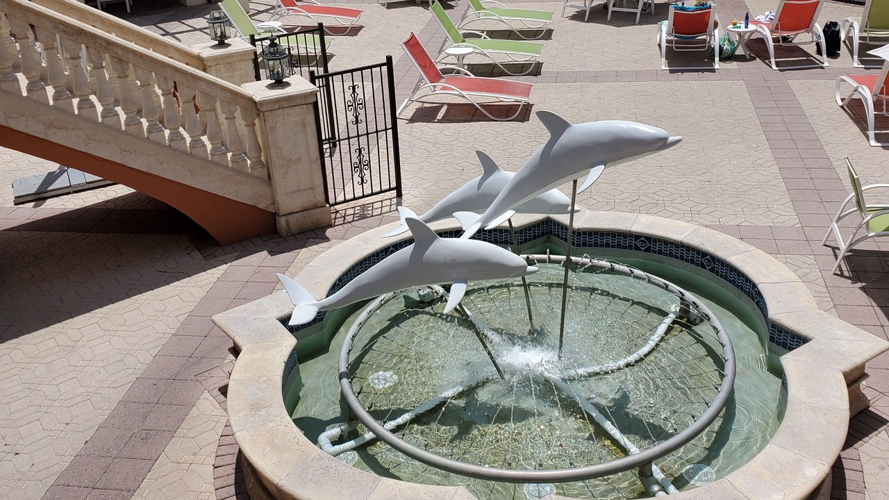 Photo of Outdoor in Florida Central Atlantic Coast