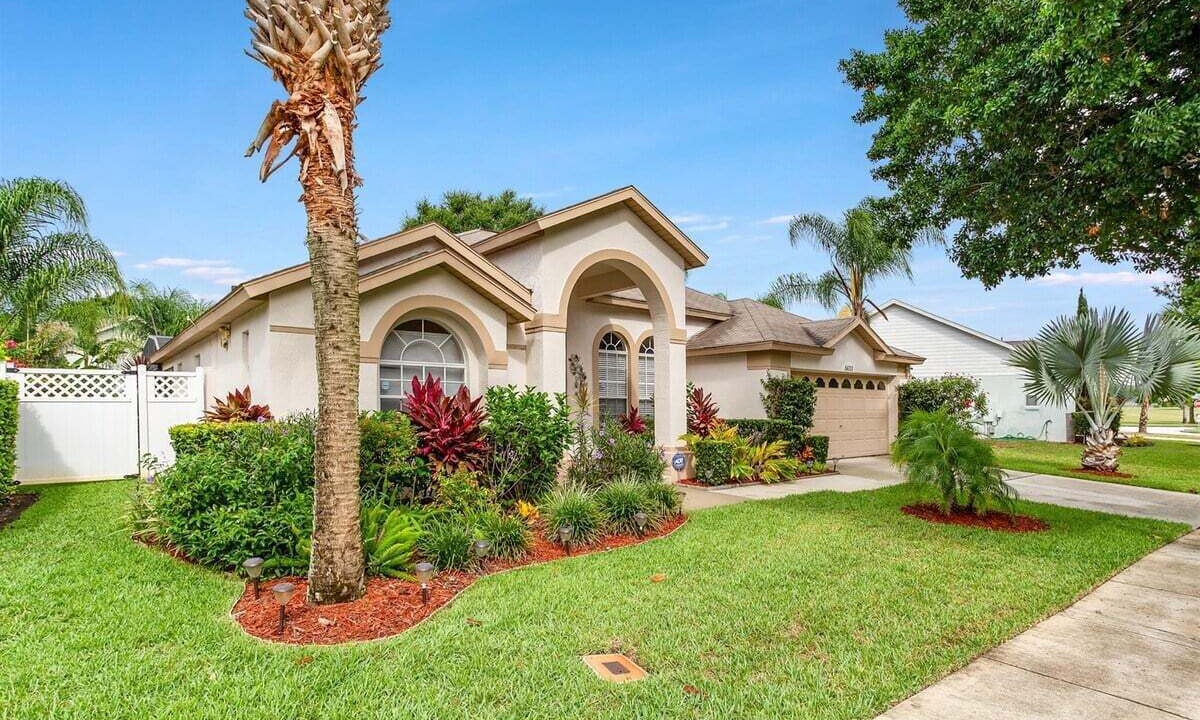 Photo of Outdoor in Orange Tree