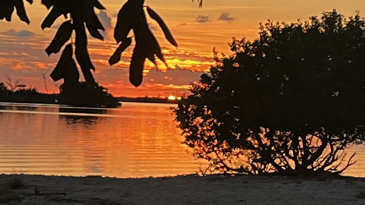 Photo of Others in Eden Pines