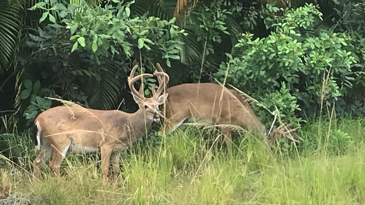 Photo of Others in Eden Pines