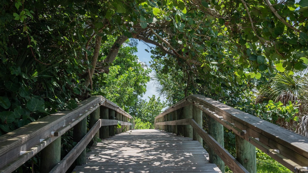 Photo of Others in Anna Maria
