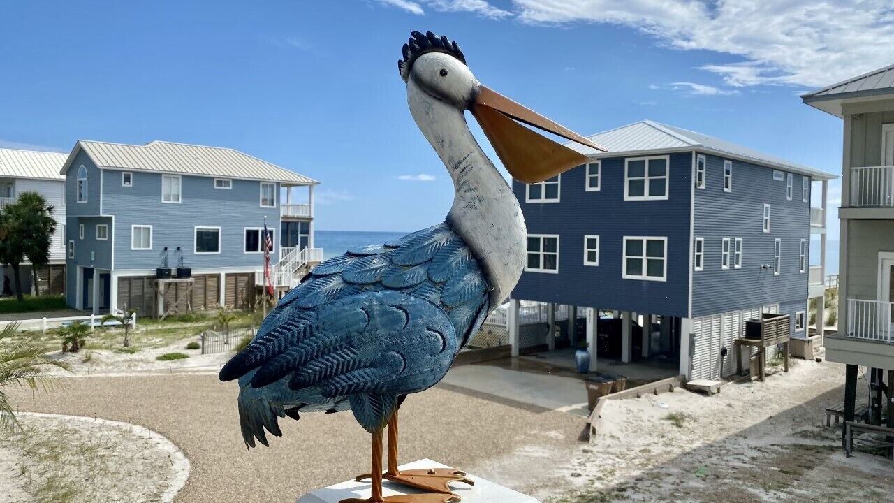Photo of Outdoor in Cape San Blas