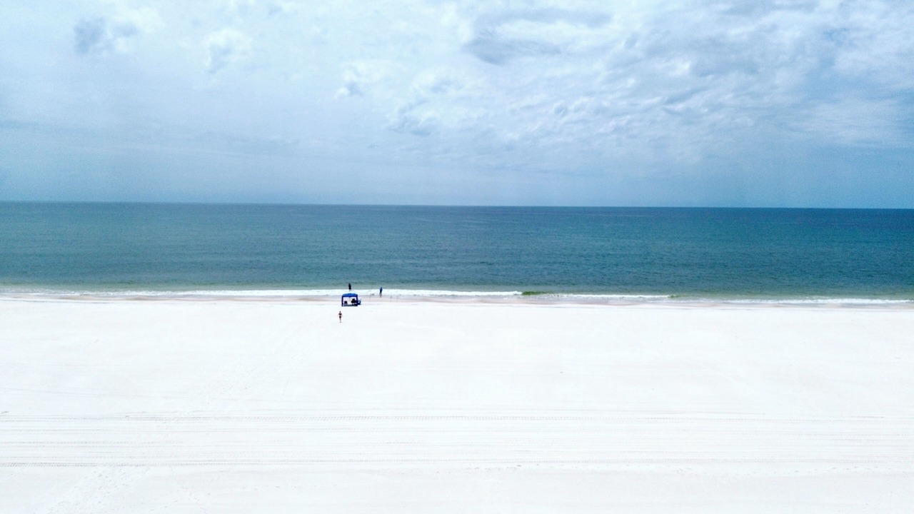 Photo of Others in Cape San Blas