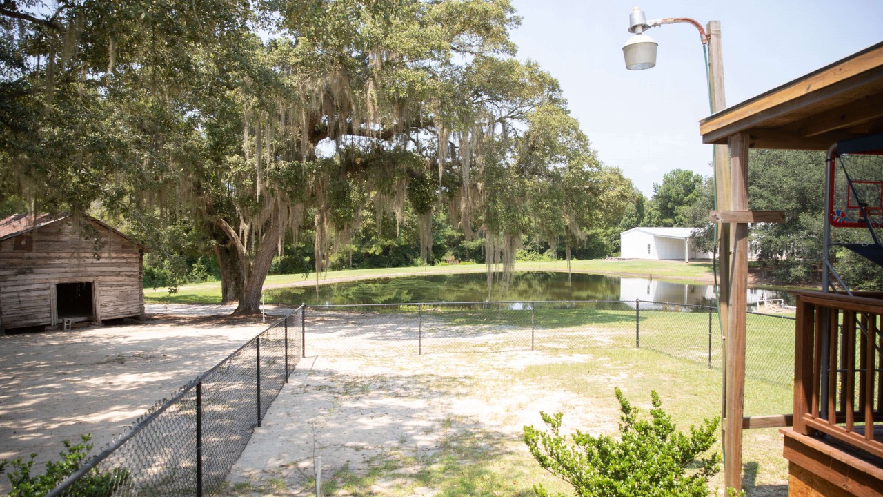 Photo of Outdoor in Adel