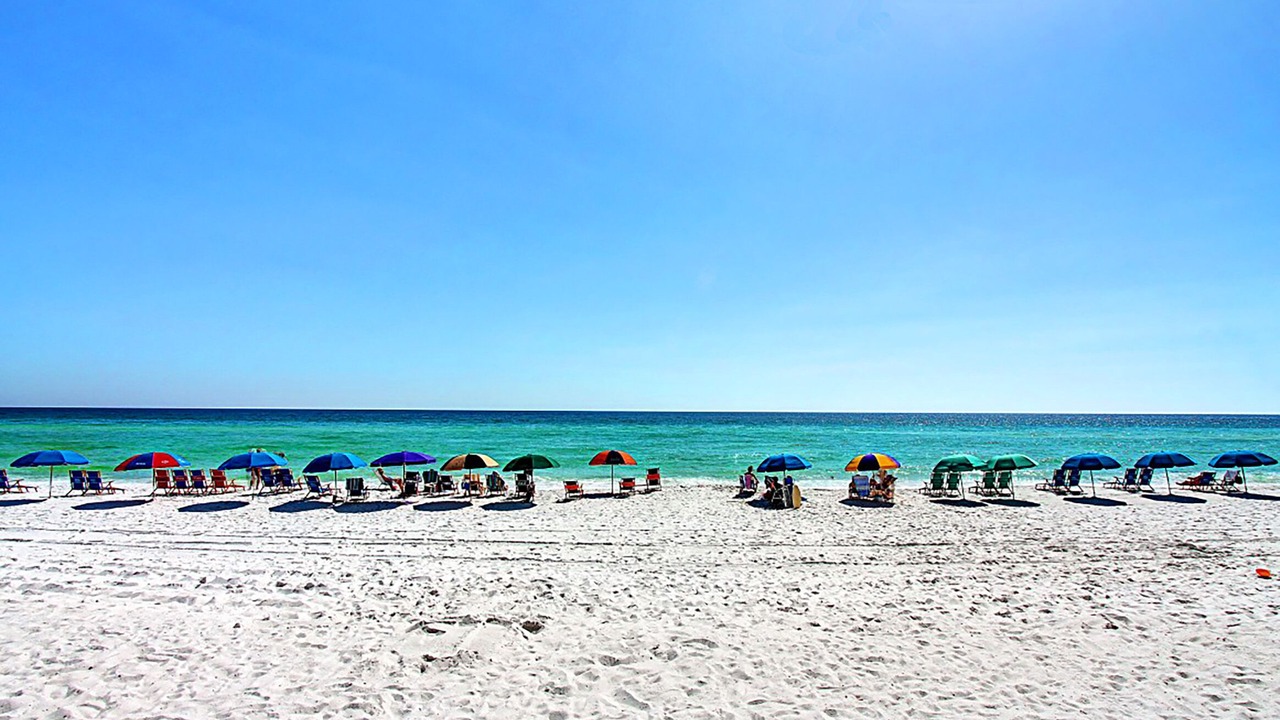 Photo of Others in Holiday Isle
