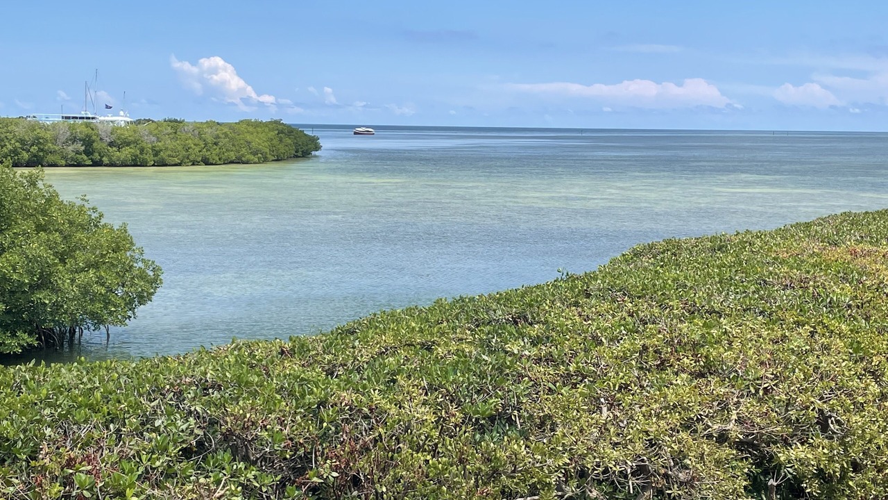 Photo of Others in Key West