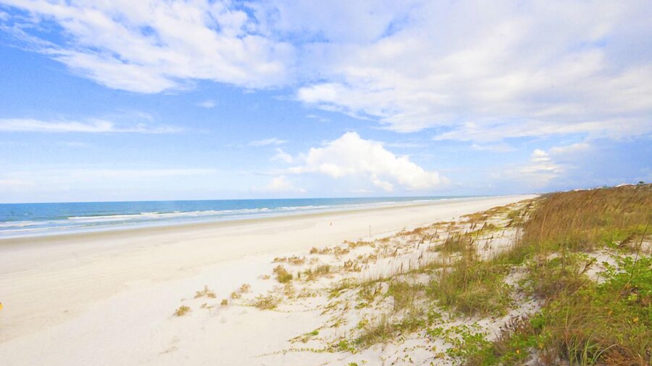 Photo of Others in Butler Beach