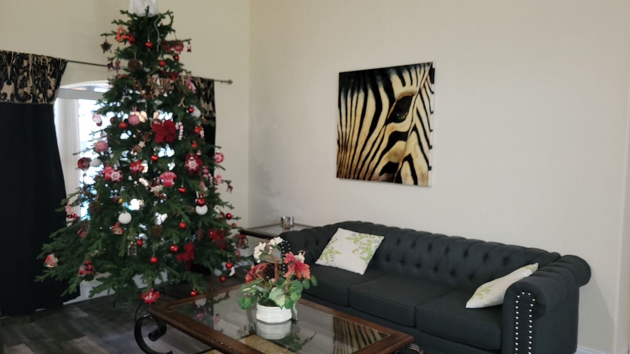 Photo of Livingroom in Orange Tree
