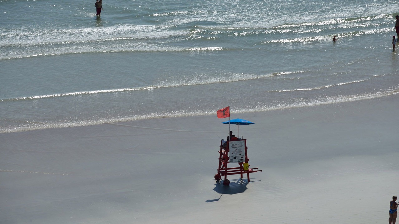 Photo of Others in Daytona Beach