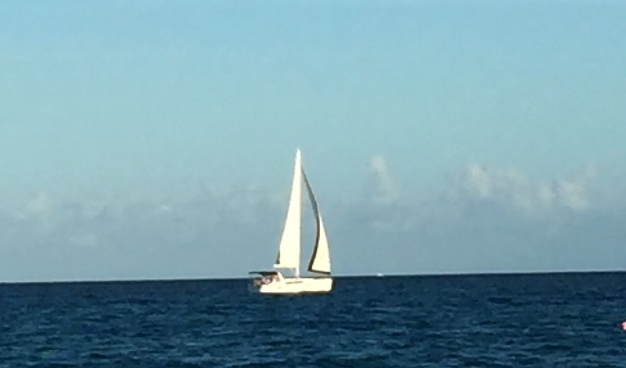 Photo of Others in West Palm Beach