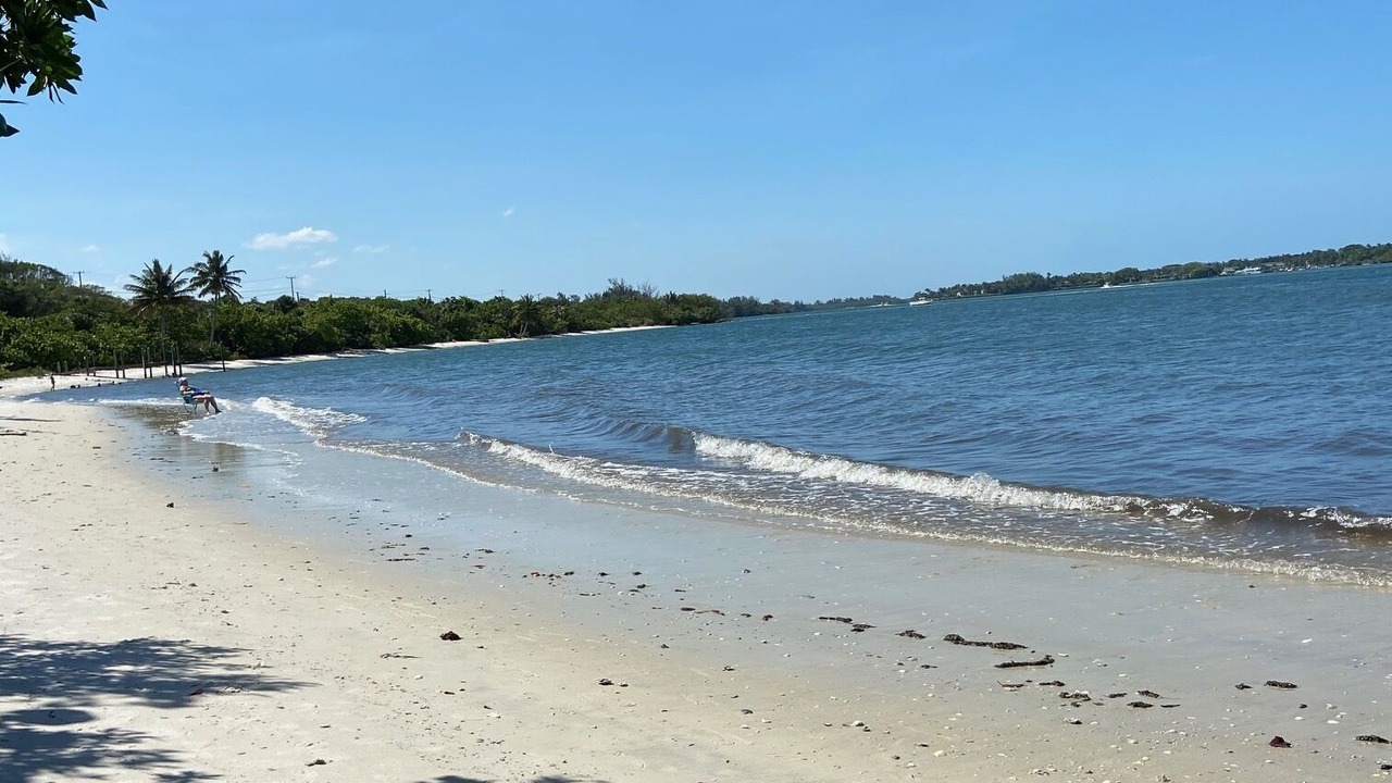Photo of Others in West Palm Beach
