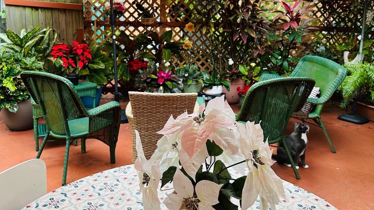 Photo of Outdoor in West Palm Beach