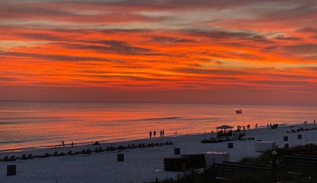 Photo of Others in Gulf Lagoon Beach