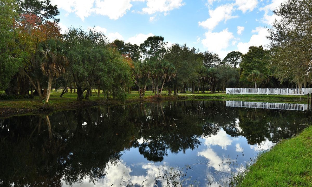 Photo of Outdoor in Sarasota