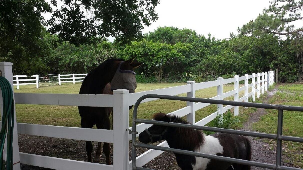 Photo of Outdoor in Sarasota