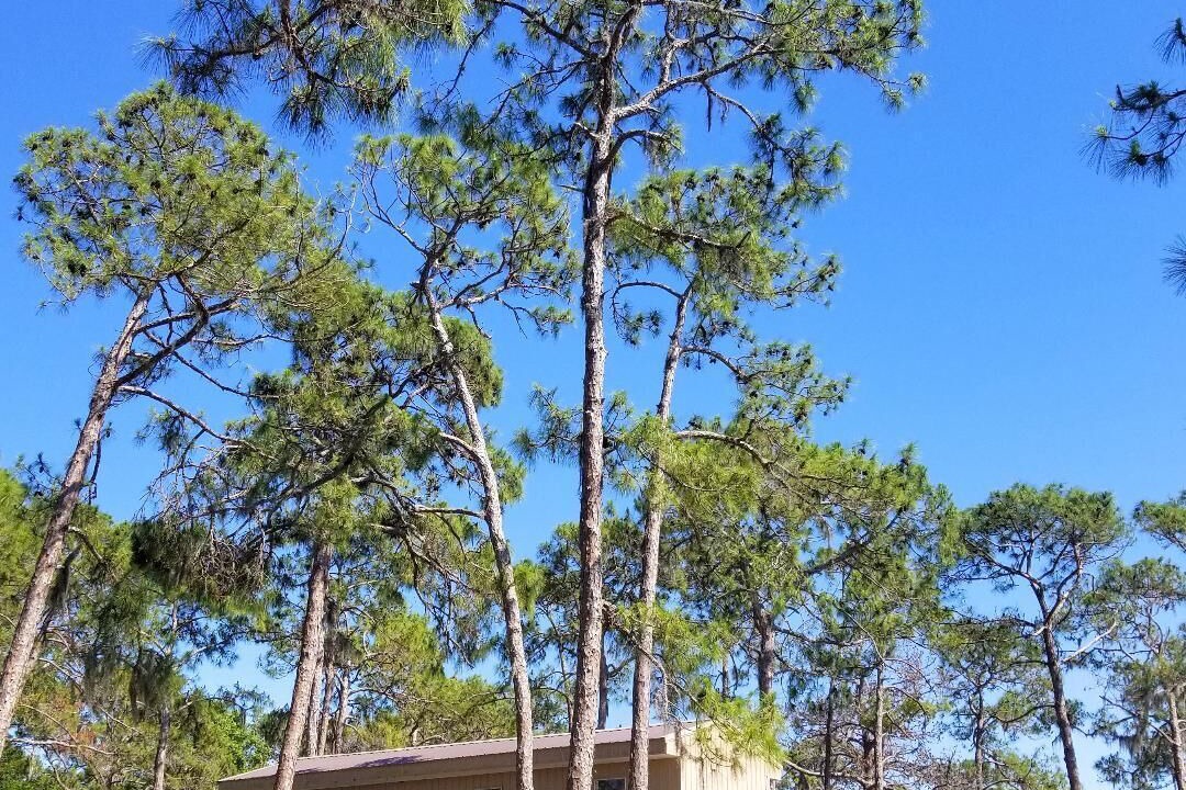 Photo of Outdoor in Sarasota