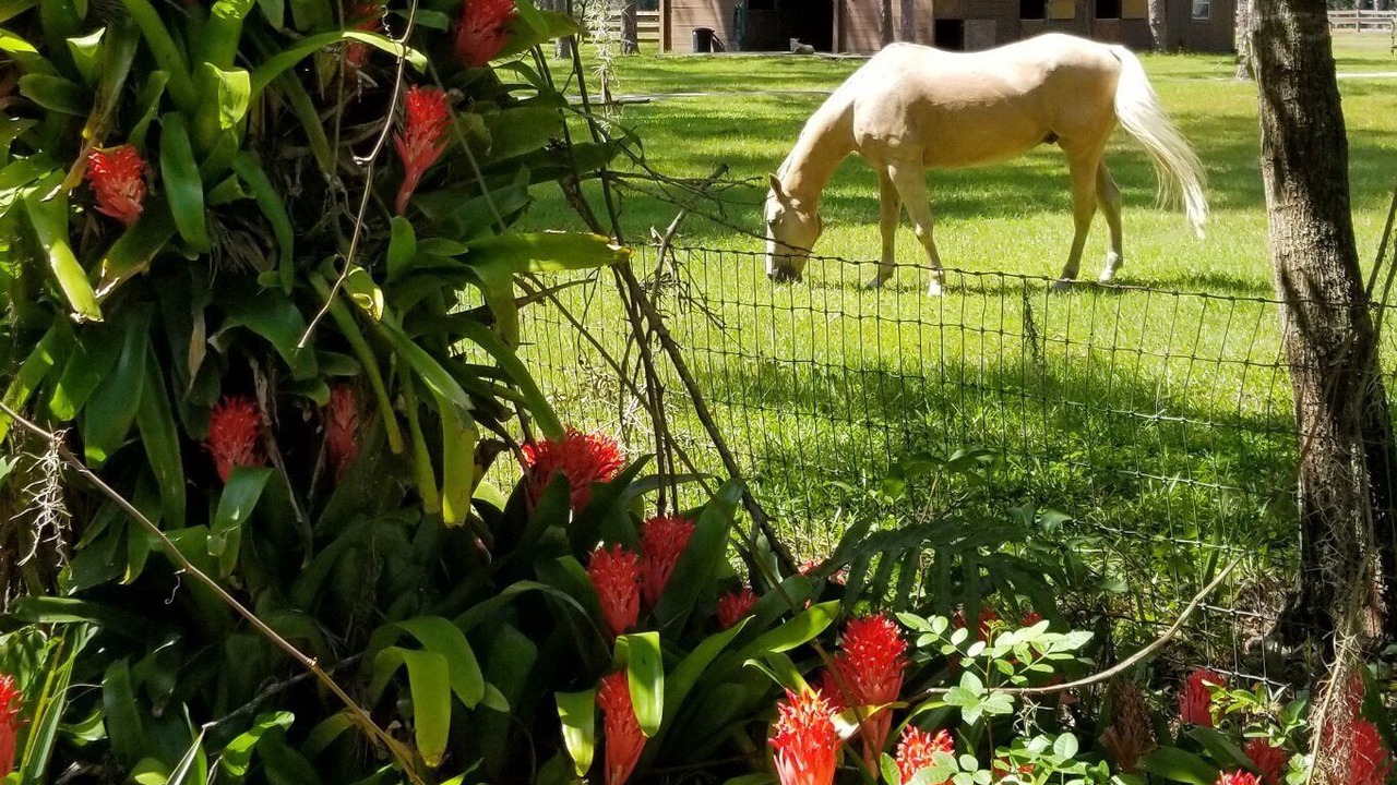 Photo of Outdoor in Sarasota