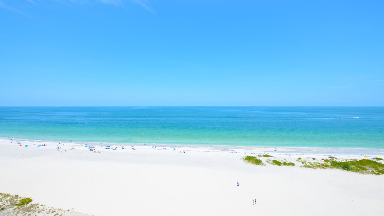 Photo of Others in Sand Key