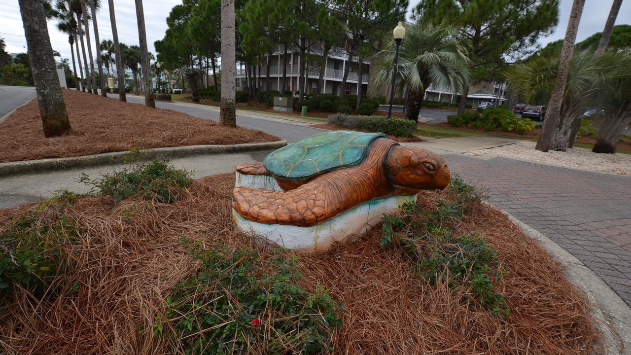 Photo of Others in Gulf Place