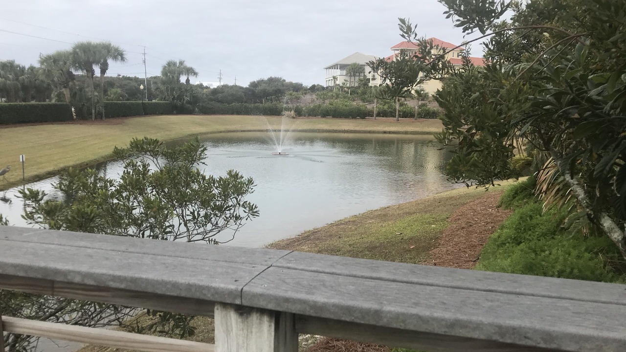 Photo of Others in Gulf Place
