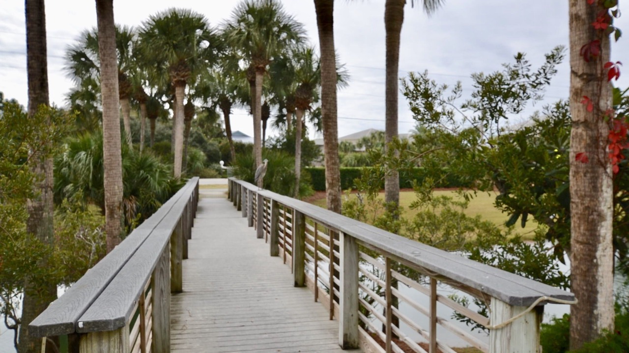 Photo of Outdoor in Gulf Place